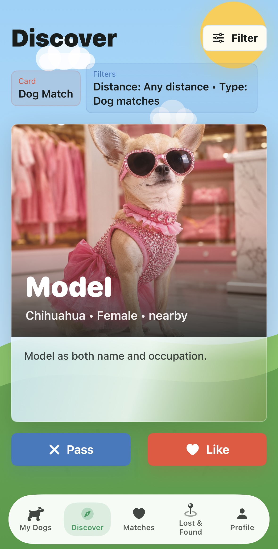 Discovery screen for Model, a Chihuahua