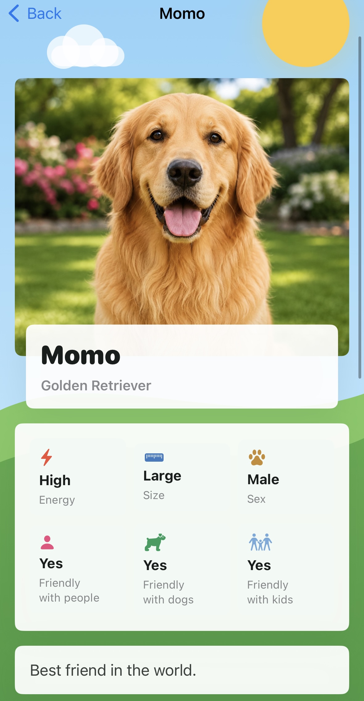 Dog profile screen for Momo