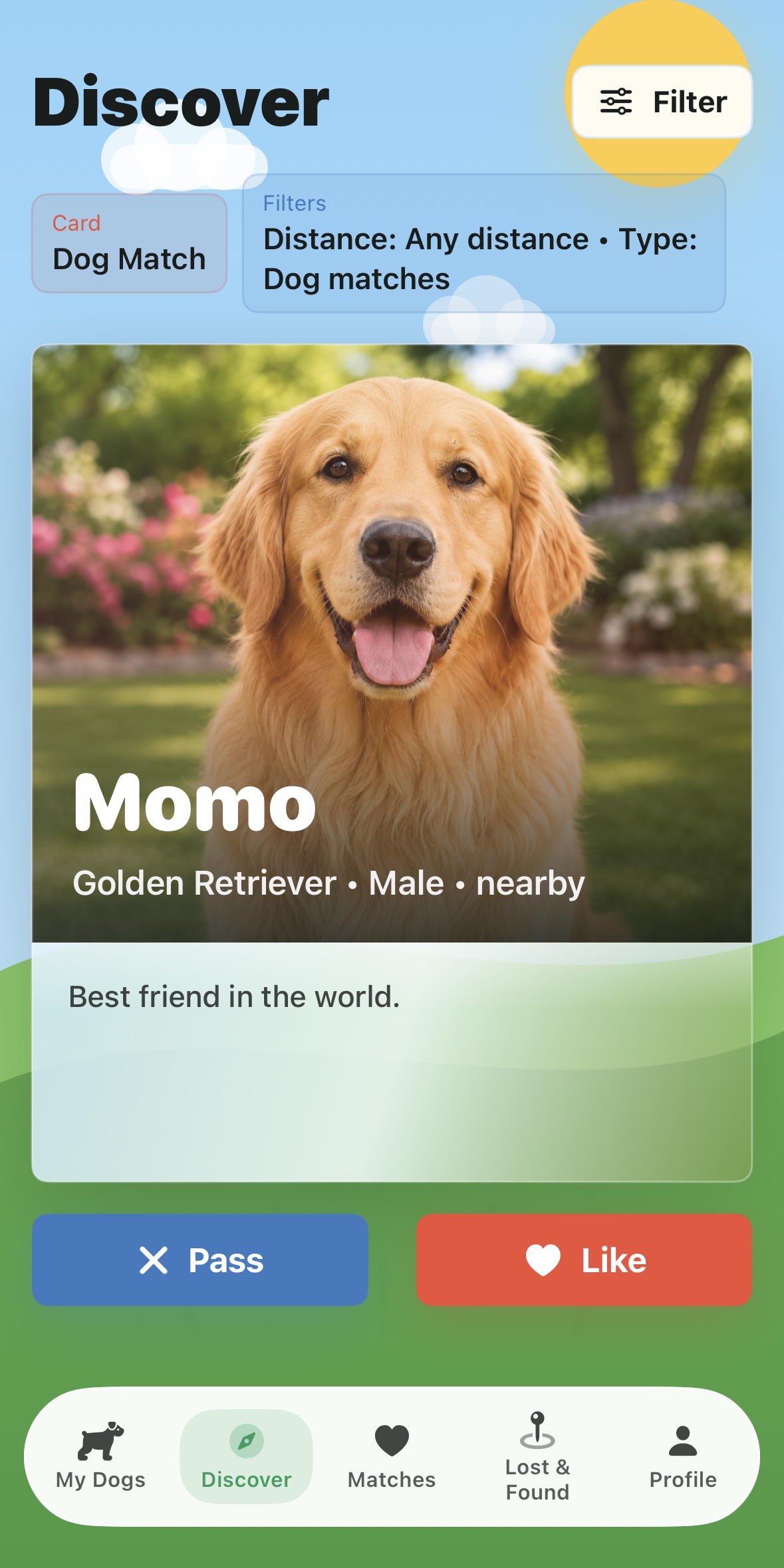 Discovery screen for Momo, a Golden Retriever