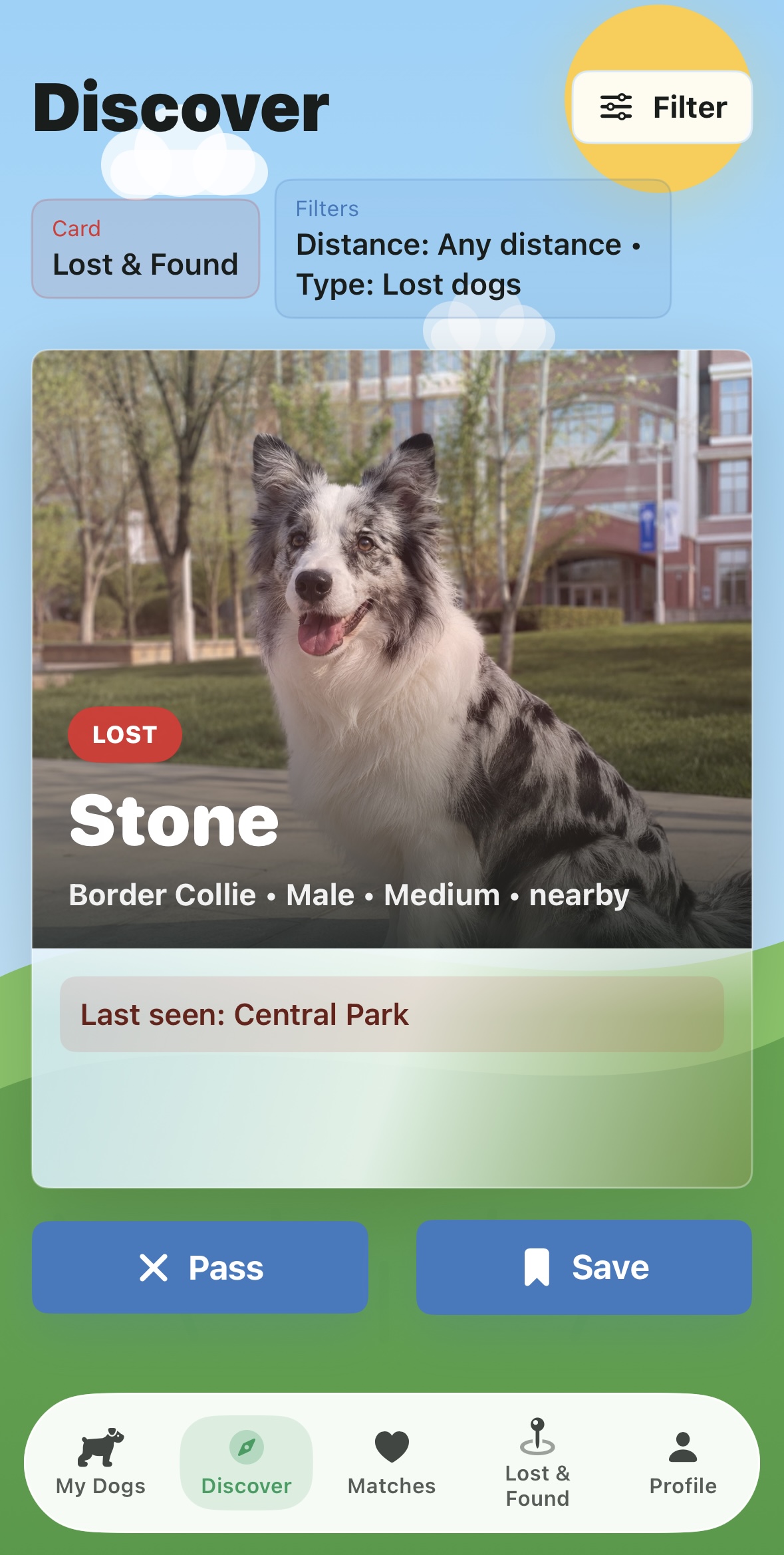 Lost dog discovery card for Stone