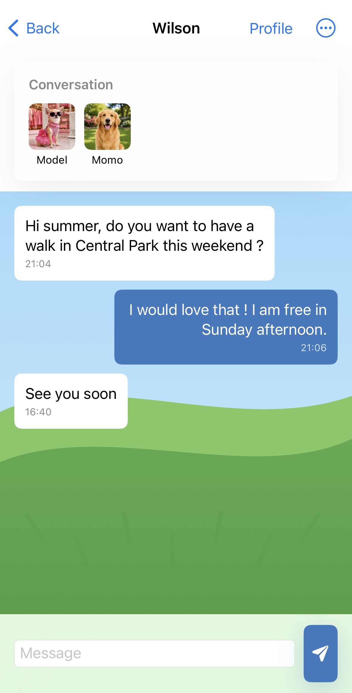 Owner conversation screen for arranging a walk